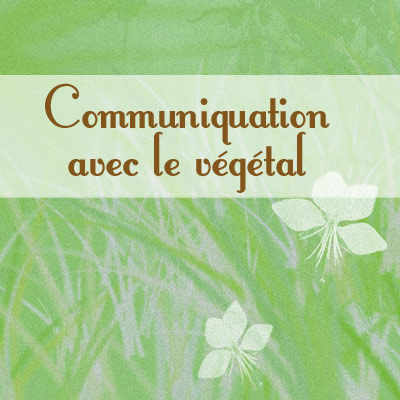 Communication avec le végétal